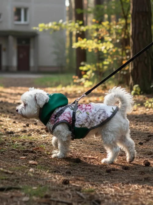 kurtka softshell dla psa z kapturem floral vintage